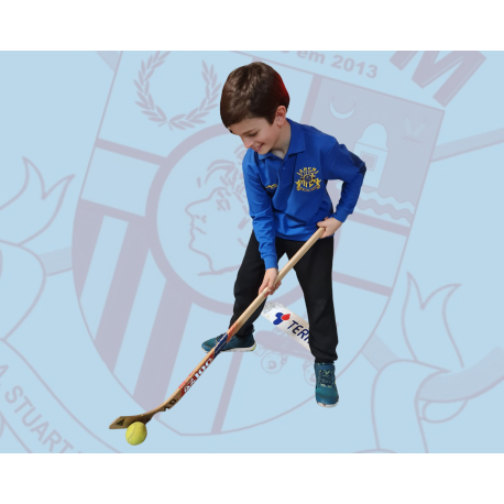 Polo Atleta Manga Comprida